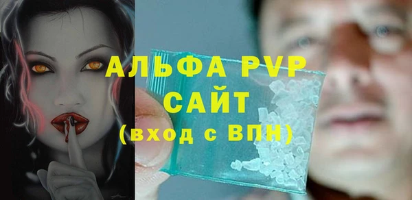 крисы Белокуриха