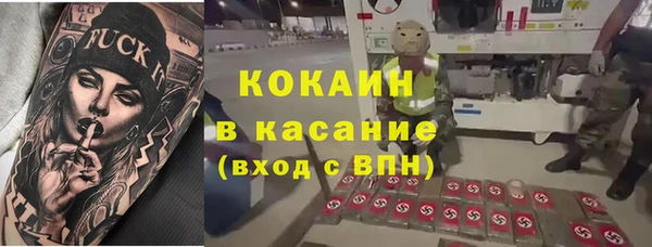 крисы Белокуриха