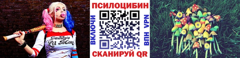 Псилоцибиновые грибы мицелий  Видное 