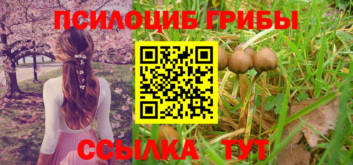 Псилоцибиновые грибы Cubensis  магазин продажи наркотиков  Видное  Галлюциногенные грибы Psilocybe  Вход с VPN 